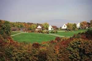 Stellenangebote Hofgut Albfhren, Dettighofen