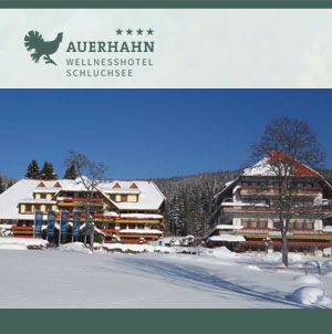 Stellenangebote Thoma Hotels und Wellness GmbH, Schluchsee Aha Stellenangebote Thoma Hotels und Wellness GmbH, Schluchsee Aha